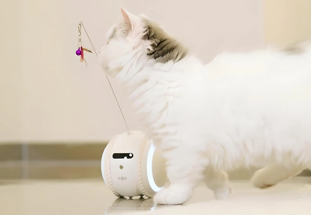 best pet indoor camera