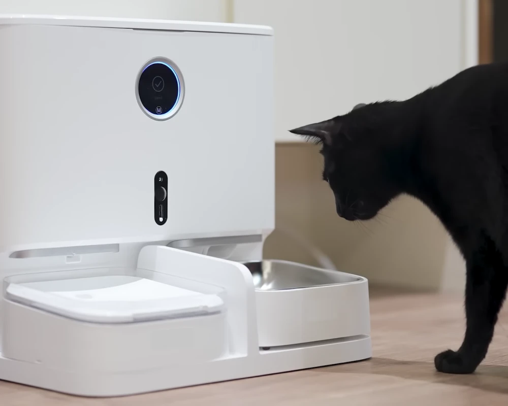 wifi automatic pet feeder